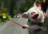 27c2b3ac73c388673f6c62f5ceb92a09_w200.gif