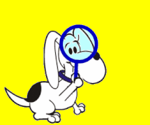 image.gif