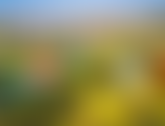 SE ACERCA EL FESTIVAL INTERNACIONAL DEL GLOBO 2021