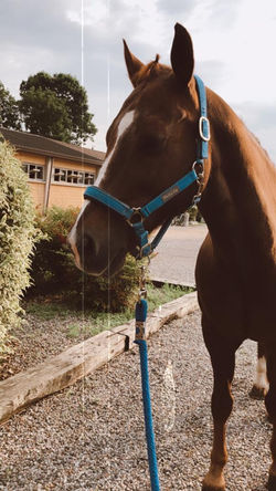 7885c86c-4463-44f0-a8c6-d1a93e9f1cf1