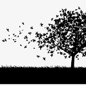 244-2443343_trees-wallpaper-hd-black-and-white-transparent-png.png