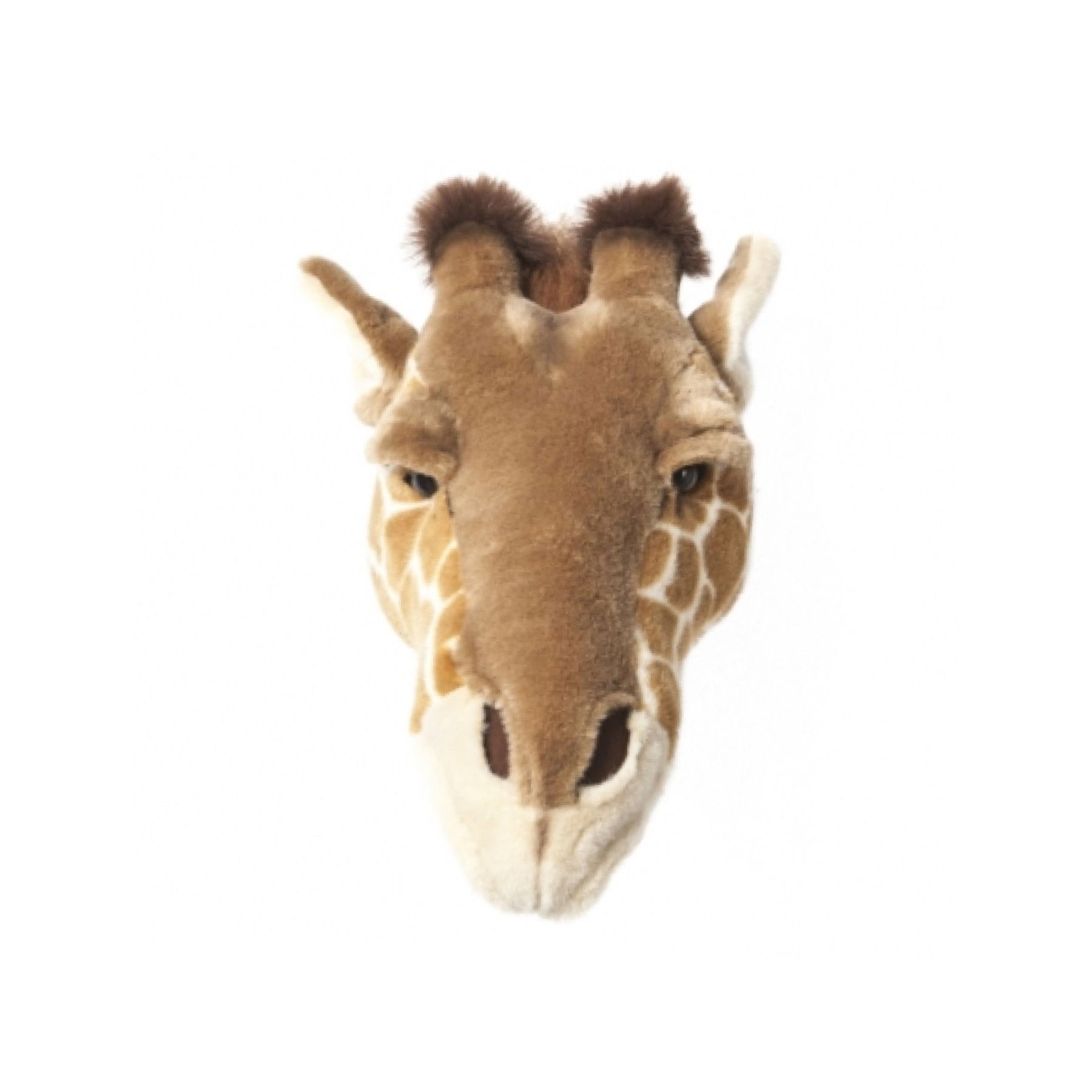 WILD AND SOFT Trophée GIRAFE Ruby