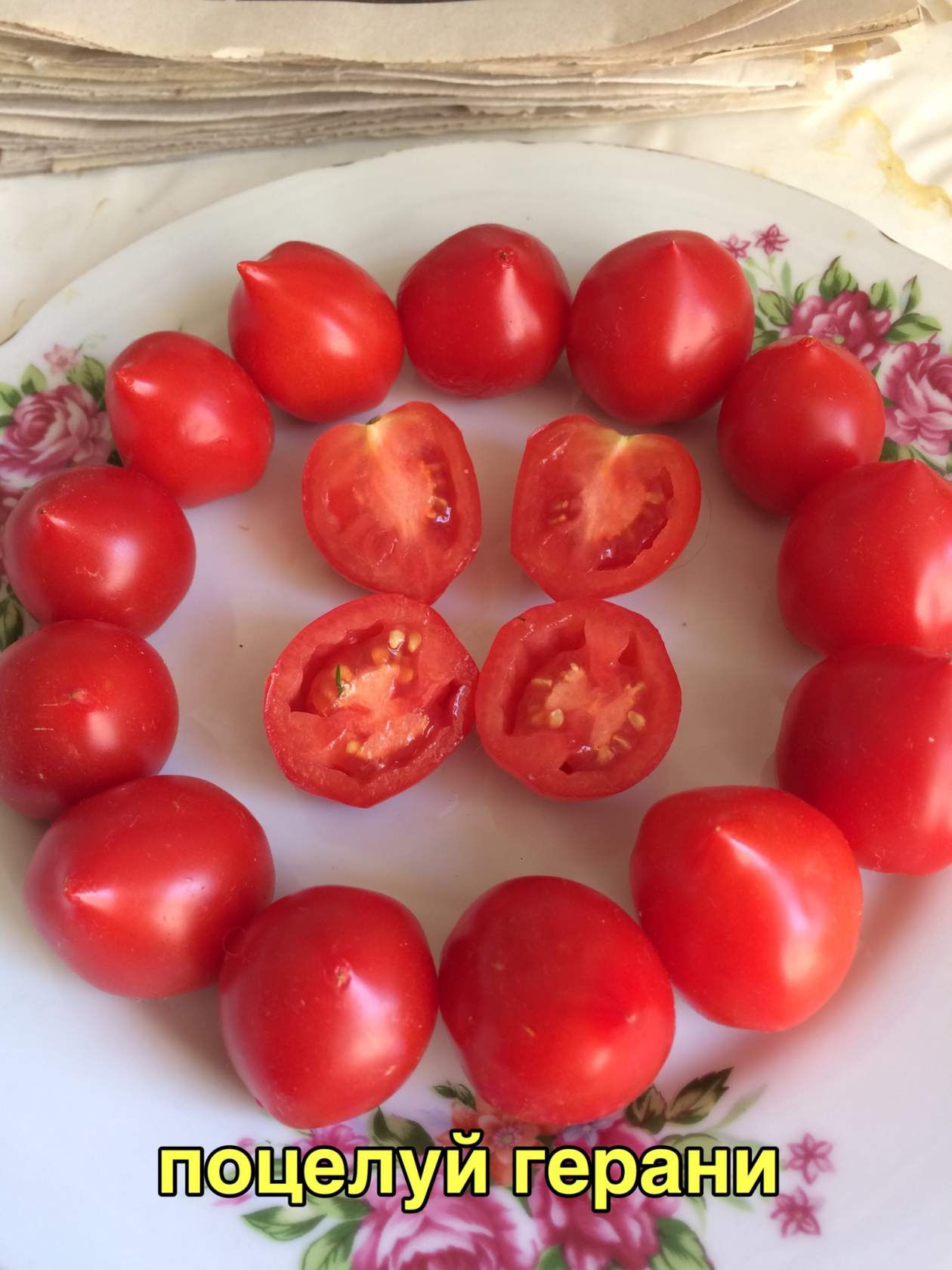 Поцелуй герани