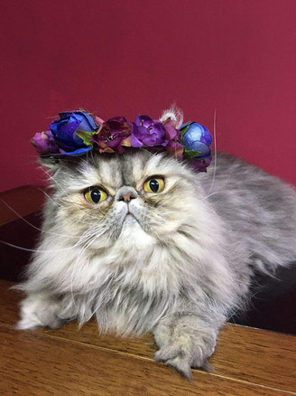 FLAUSCHIGE Brighida