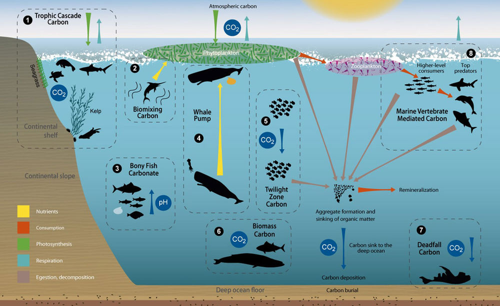 Report: The State of the Ocean