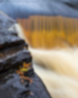 Falling in Michigan (8 x 10) PRINT