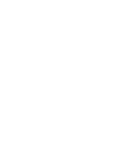 Vor 120 Jahren entwickelt (1).gif