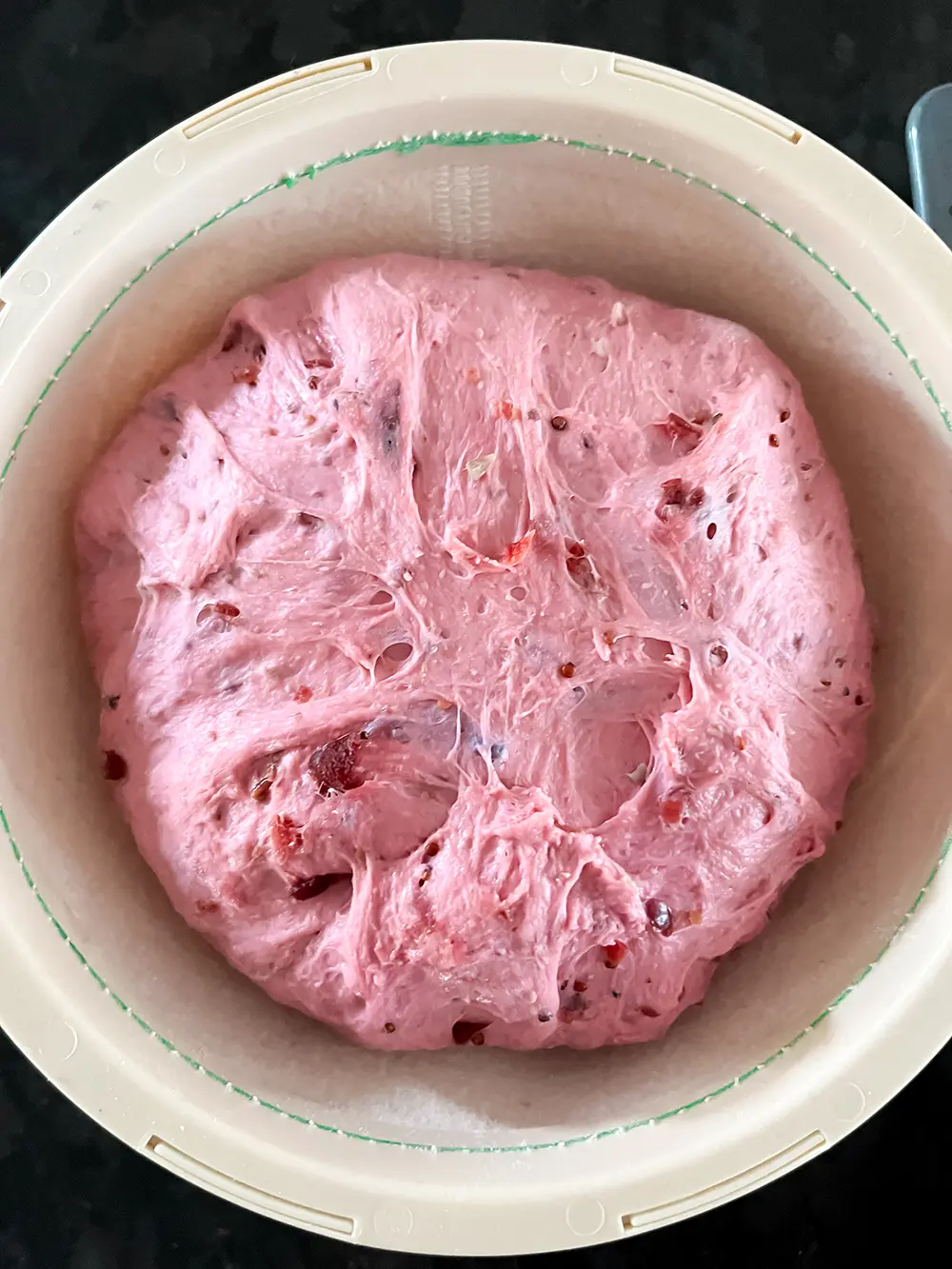 pain pousse rose cranberries recette thermomix TM7