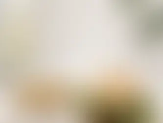 Recette de Pain Burger maison au sésame