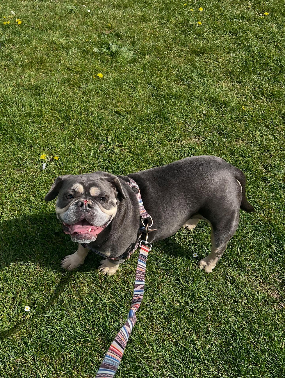 Having a professional sitter stay overnight doesn't just benefit your pets; it benefits your property, too!
