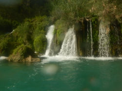 DSCN0497