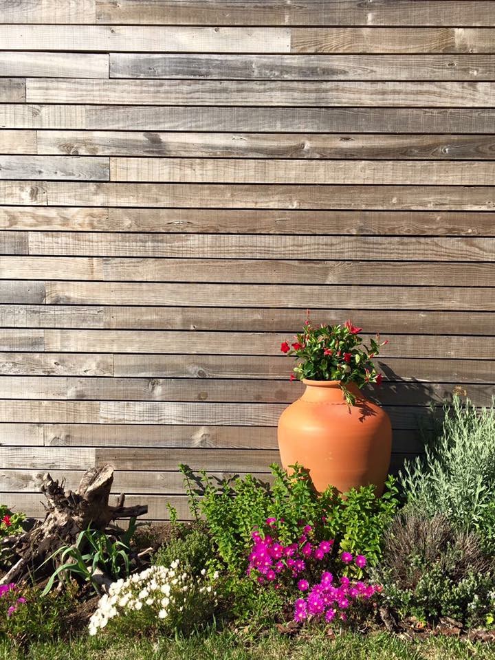 Decoração Exterior Jardim