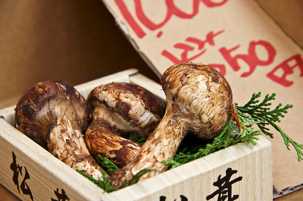 autumn food in japan matsutake mushroom