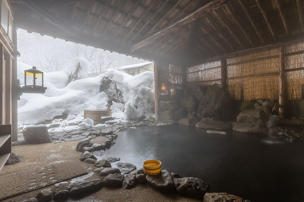 winter in japan yukimiburo onsen