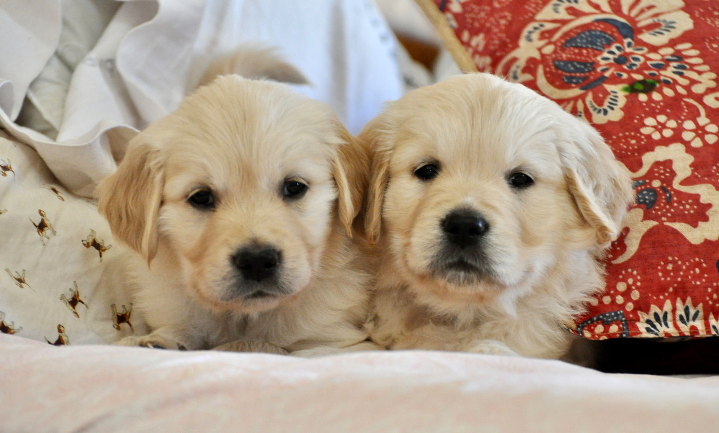 1DBE9576-48D7-4709-8240-61AFEBD279F9_1_201_a