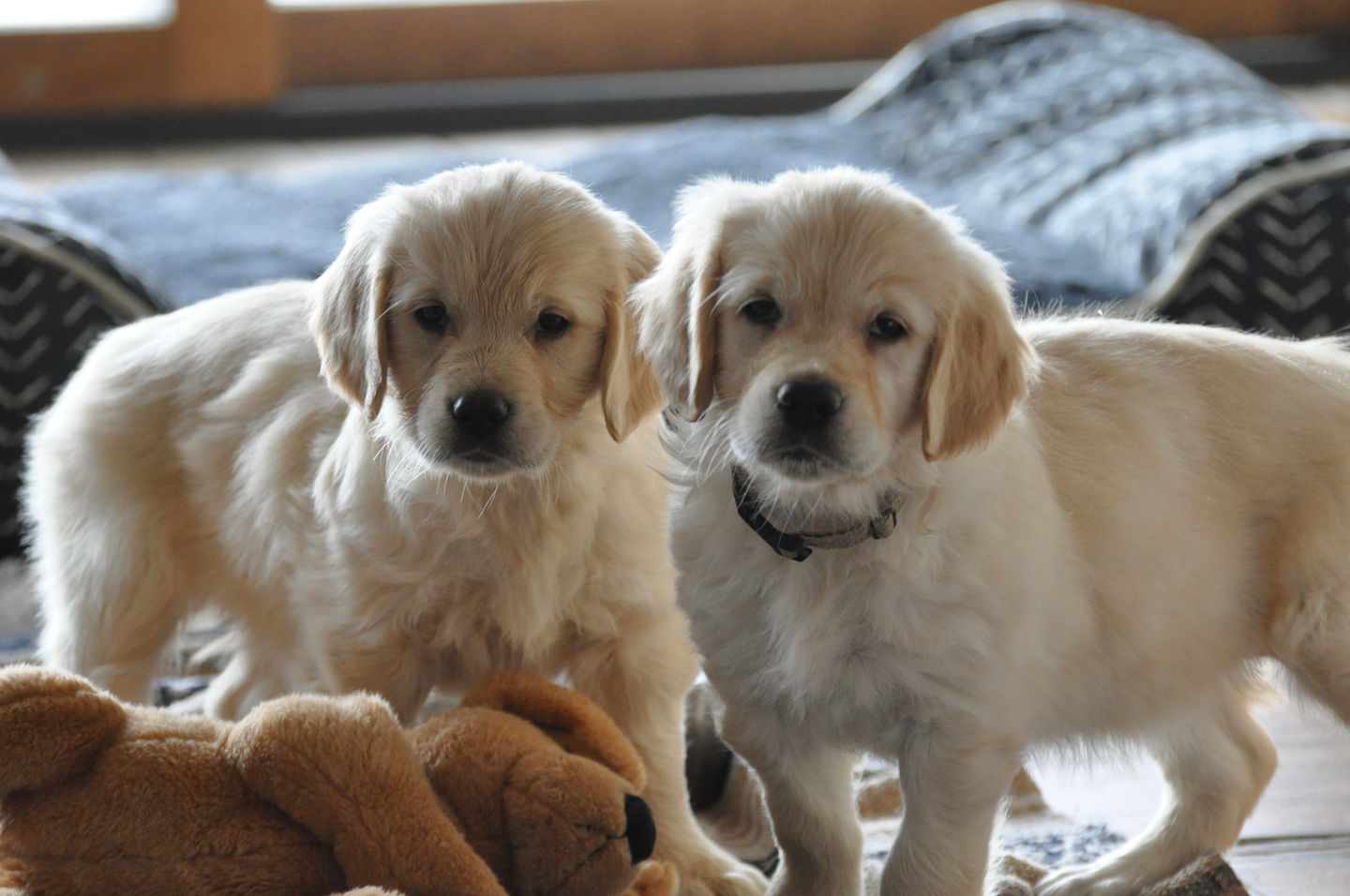 B1EC5474-07B4-485B-9145-A45B24CB9D2A_1_201_a