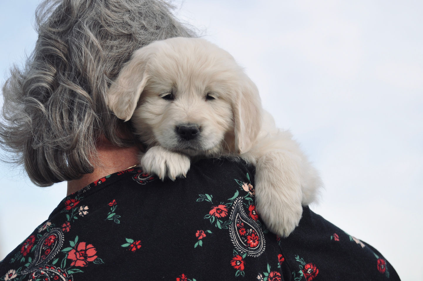 0A066434-8E9A-48C2-983F-518C7853C864_1_201_a