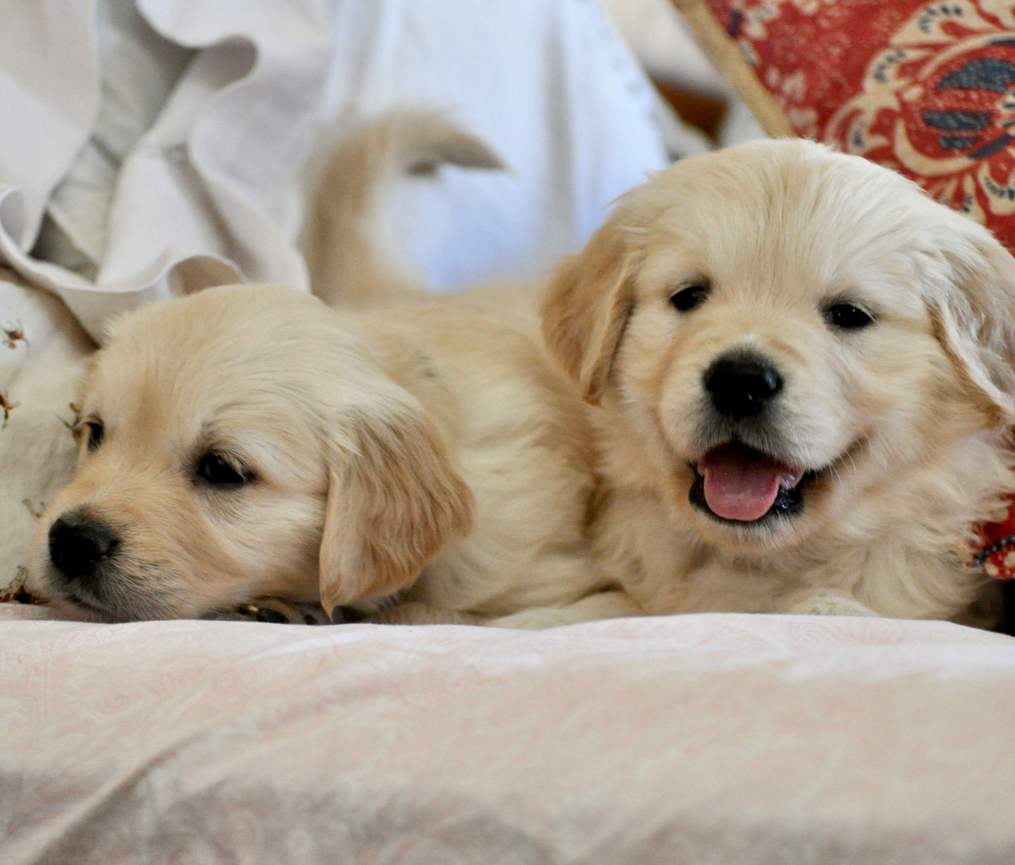 64125994-4A40-4760-BF11-61C53E94A311_1_201_a