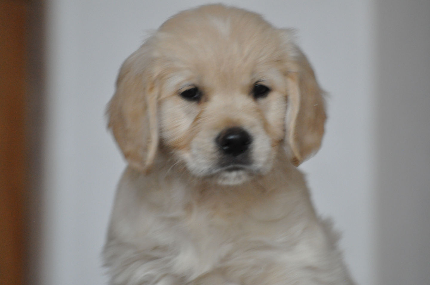 D99EFCB0-A580-4B96-8EC3-9D02E4120508