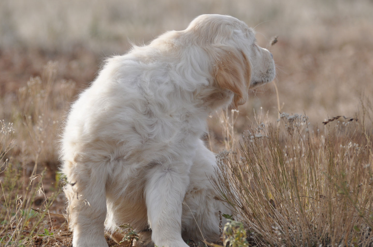 AA1EFE61-6569-4969-866A-D39114FCE810