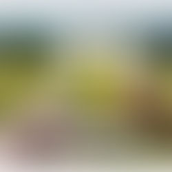 La Champagne fait pétiller vos événements.