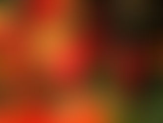 12月はEventも忙しく・・・
