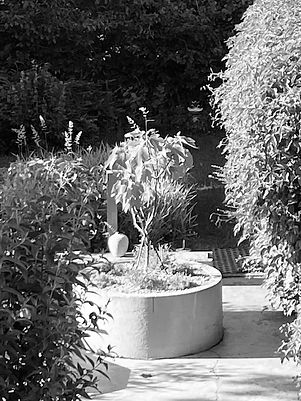 IMG_5884.jpeg