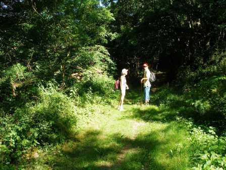 Chemins de randonnées