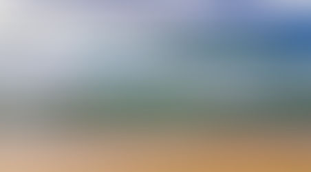 Слон чи ведмідь?? Ні, волонтер-стартапер!