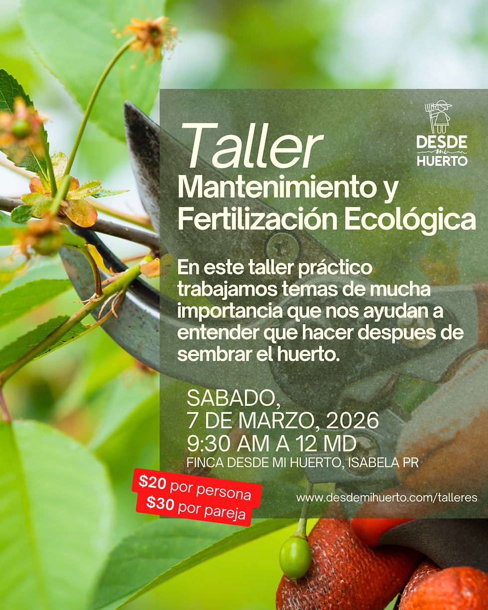 Taller Mantenimiento y Fertilizacion Ecológica
