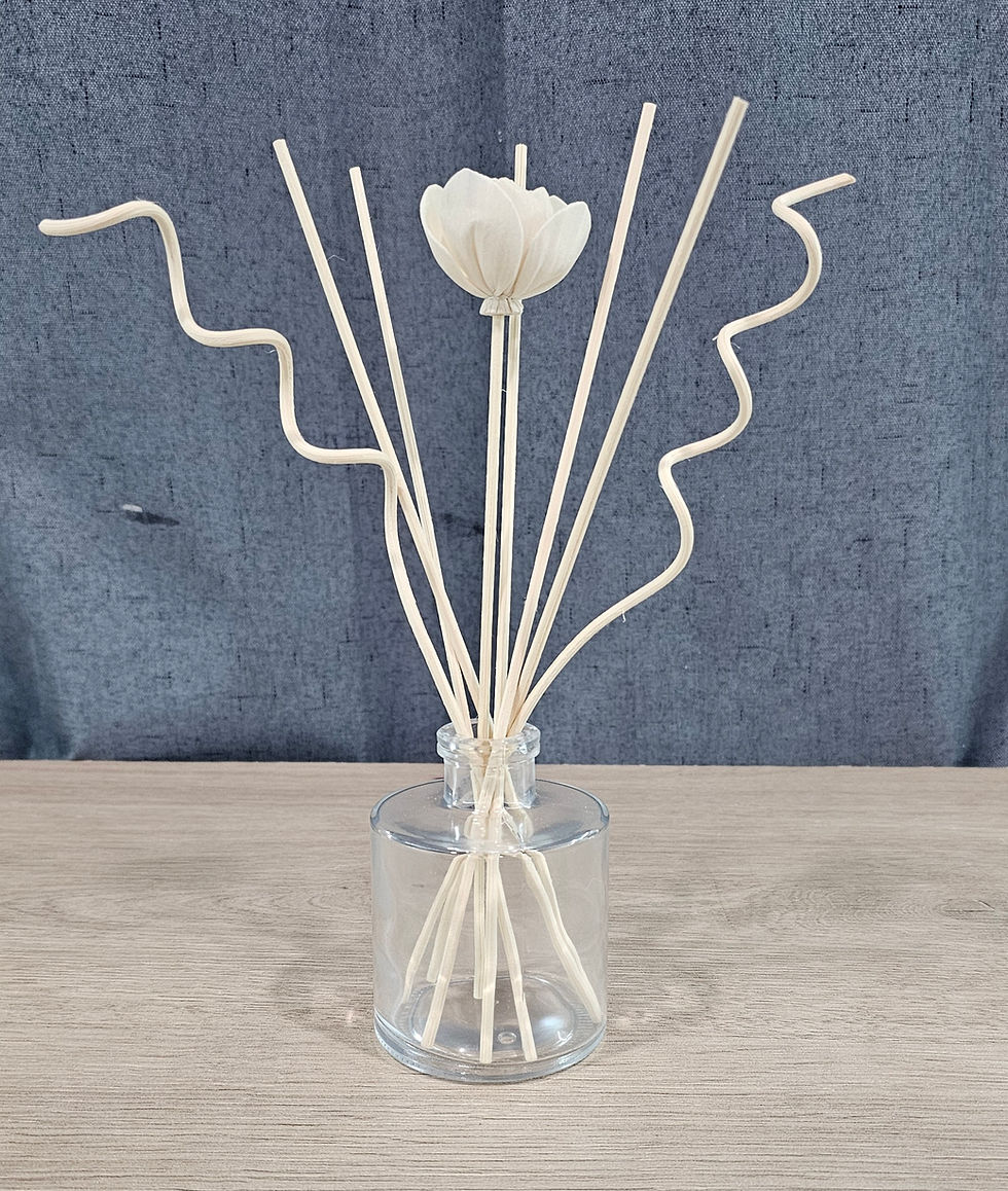 Thumbnail: Reed Diffuser Bundle