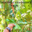 Thumbnail: Pink Nymph Palm Plant  (Hydriastele pinangoides ) Gronophyllum pinangoides
