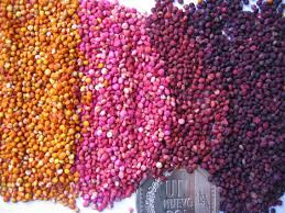 Quinoa
