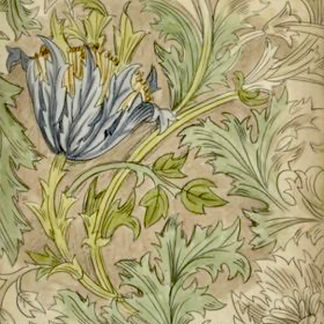 Menu for Feb 18 - Feb 24, 2023