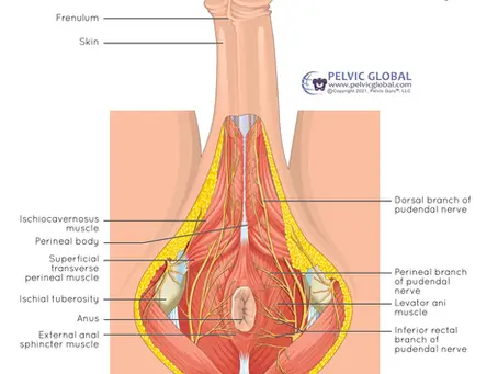 Shockwave Therapy for Erectile Dysfunction: What the Research Actually Shows