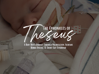 The Backstory: Part Three