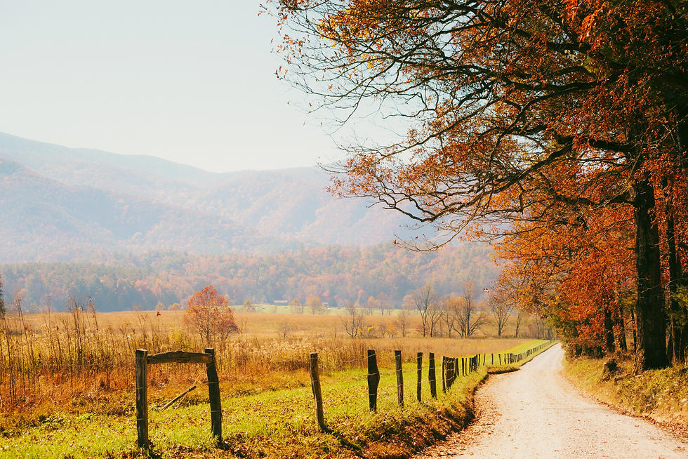 Cades Cove Autumn