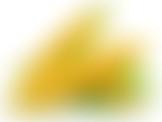 Lợi ích tuyệt vời từ ngô