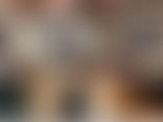 Strategic Insights Workshop Hosted on the Future of Towhead Island