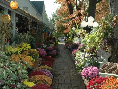 Fall in love with 12 South