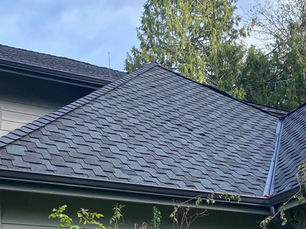 Nails through Shingles.