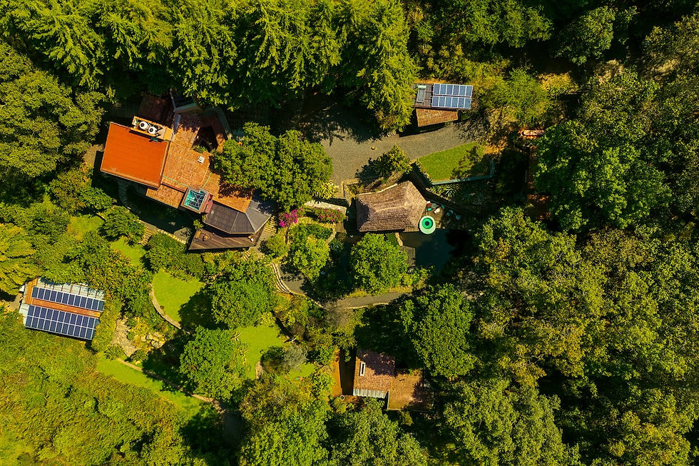 DJI_0366.jpg
