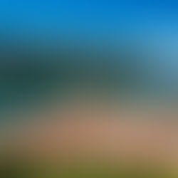 Karadağ : Yalan Dünyanın Sahte Cenneti