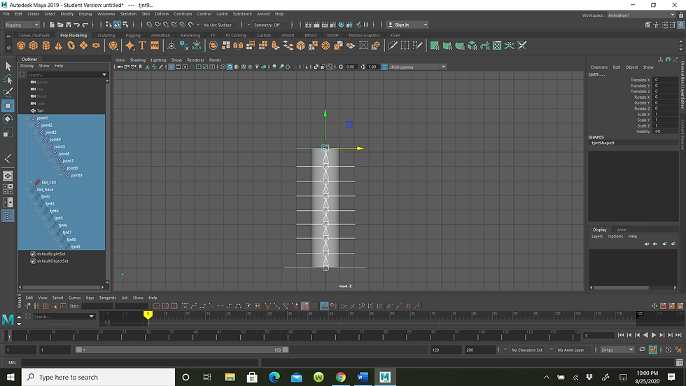 rigging practice 2.PNG
