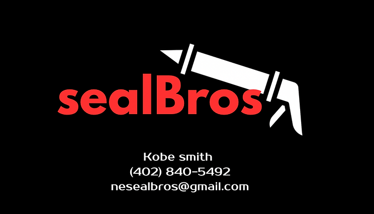 sealBros - 1.PNG