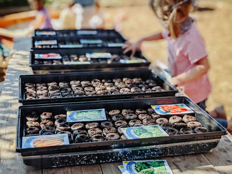 How Daycare Affects Child Development: A Comprehensive Overview
