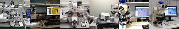 lab_lab_desk_confocalImaging.jpg