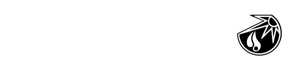 logo_solarfocus_macht.gif