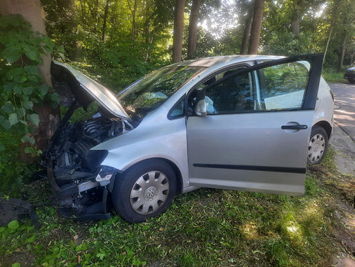 Baumunfall in Eldingen