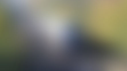 RE2+RE3 Hannover/Uelzen: Streckensperrung und Ersatzverkehr